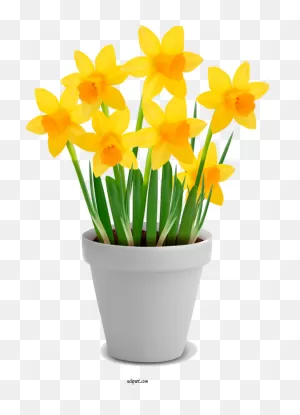 Flowers Window Flowerpot Vase For Flower Clipart - Flower Clipart ClipartFlare.com 