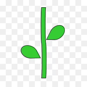Flower Stem | Free PNG-WebP