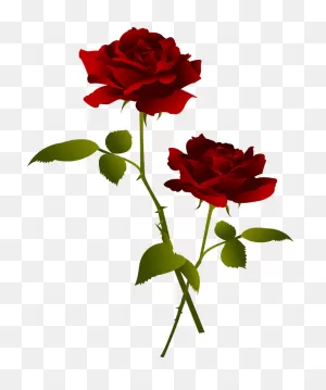 Red Rose Flower Clipart - Rose - Png Download - Full Size Clipart ClipartFlare.com 