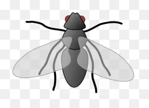 Free Fly Clipart Png, Download Free Fly Clipart Png Png Images ClipartFlare.com 