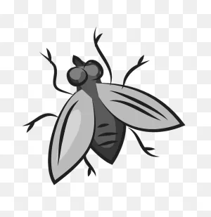 Fly Clipart. Free Download Transparent .png | ClipartFlare