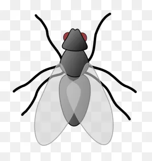 Fly Clip Art At ClipartFlare ClipartFlare.com - Vector Clip Art Online, Royalty Free ClipartFlare.com 
