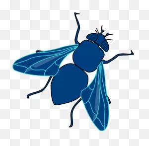 Fly Png Transparent Image - Blue Fly Clipart | Full Size Png ClipartFlare.com 