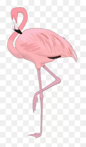 Download Hd Free Flamingo Clip Art Flamingo4 Transparent Png Image ClipartFlare.com 