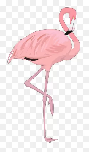 Flamingo Clipart Image - ClipartFlare