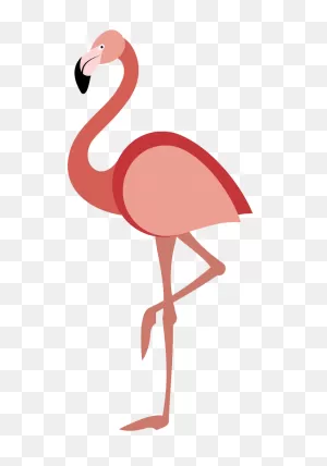 Flamingo Clipart Transparent - ClipartFlare