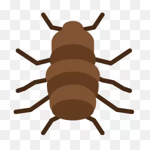 Flea Vector PNG-WebP Icon (8) - Png Repo Free Png Icons