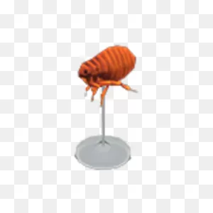 Flea Model | Animal Crossing Wiki | ClipartFlare