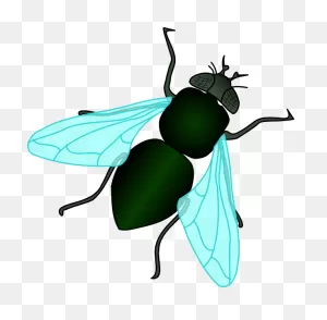 Flies Clipart - Clipart Suggest