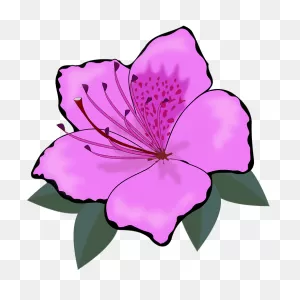 Clip Art Flor Flora - Free Vector Graphic On ClipartFlare