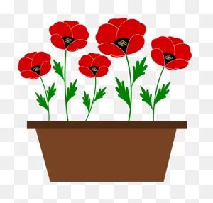 Plant,flower,seed Plant Png Clipart - Royalty Free PNG-WebP / Png
