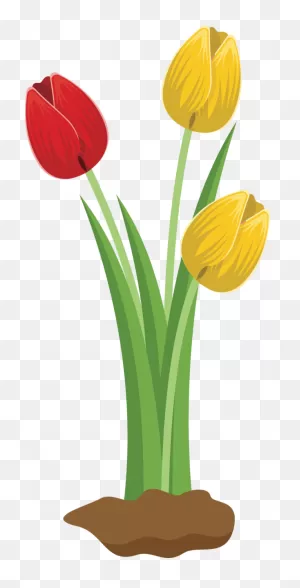 Tulip Flower Plant Tulip Clipart - Tulip Clipart Flowers Clip Art