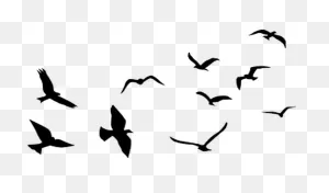 Airplane Flight Balloon Clip Art - Flying Birds Silhouette Png ClipartFlare.com 