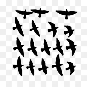 Flock Of Birds Free PNG-WebP Files | PNG-WebP, Png, Dxf, Eps