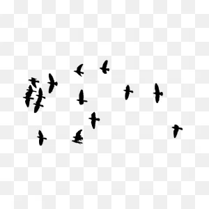 Flock Of Birds Image | Free PNG-WebP