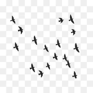 Flock Of Birds Flying Free PNG-WebP Files | PNG-WebP, Png, Dxf, Eps