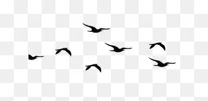 Large Flock Of Birds Png | Png All