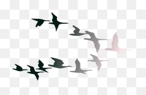 Two Birds Kissing Teal Clipart | Bird Clipart, Clip Art, Flock Of ClipartFlare.com 
