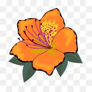 Clip Art Flor Flora - Free Vector Graphic On ClipartFlare