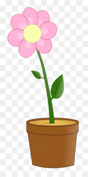 Flower Pot Plant - Free Vector Graphic On ClipartFlare