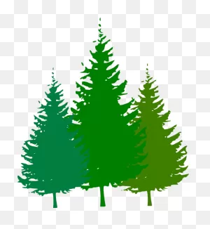 Forest - Forest Clipart | Full Size Png Download | ClipartFlare