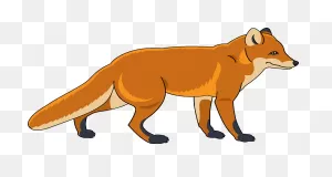 Fox Clipart. Free Download Transparent .png | ClipartFlare