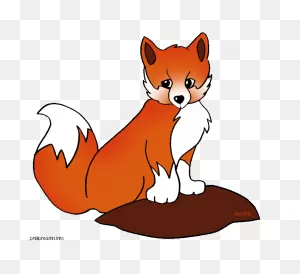 Pin On Fox