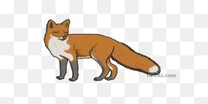 What Is A Fox? - Answered - Twinkl Teaching Wiki