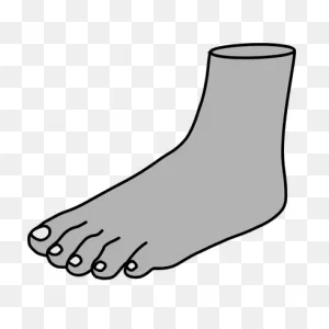 Download Foot Image Png Clipart Png Free | ClipartFlare