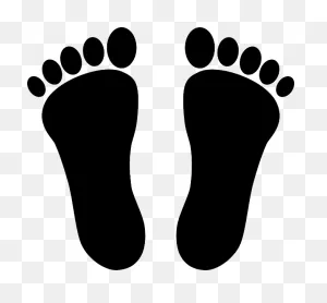 Difference Between Feet And Foot | Compare The Difference Between ClipartFlare.com 