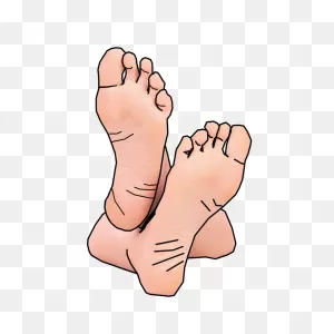 Download Foot Clipart Clipart Png Free | ClipartFlare