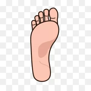 Foot & Ankle Experts - No More Foot Or Ankle Pain
