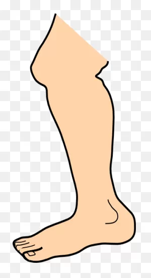 Foot Feet Clip Art Free Clipart Image - ClipartFlare