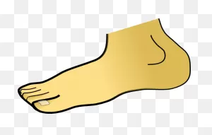Foot Clip Art At ClipartFlare ClipartFlare.com - Vector Clip Art Online, Royalty Free ClipartFlare.com 