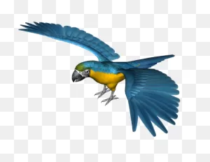 Blue With Open Wings Parrot Fotos Png Clipart - 29042 - ClipartFlare