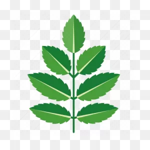 Ash, Foliage, Leaf, Leaves, Spear, Tree Icon - Download On Iconfinder