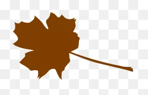 Foliage Clipart Brown Leaf - Brown Leaves Clip Art - Png Download ClipartFlare.com 