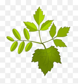 Foliage Clip Art At ClipartFlare ClipartFlare.com - Vector Clip Art Online, Royalty ClipartFlare.com 