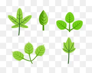 Free Foliage Cliparts, Download Free Foliage Cliparts Png Images ClipartFlare.com 