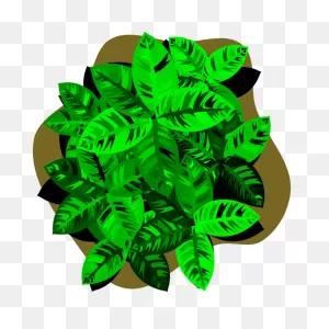 Foliage | Free PNG-WebP