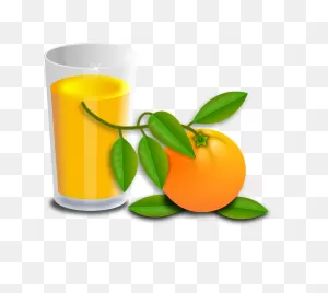 Free Photo Fruits Drink Juice Oranges Orange Tree Fruit - Max Pixel