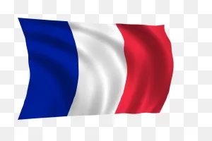 Flag, France, French Icon - Download On Iconfinder