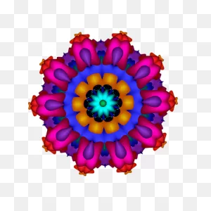 Glowing Fractal Flower Iphone 5 Case For Sale By Ruth Moratz