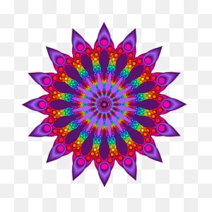 Woven Rainbow Fractal Flower T-Shirt For Sale By Ruth Moratz