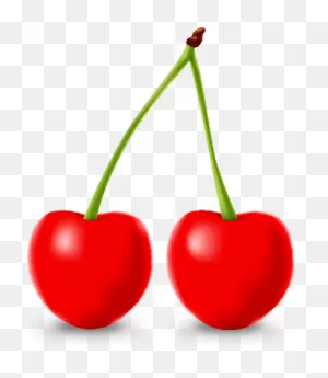 Cherry Icon(Fruits) | Cherry Icon, Fruits Vector, Fruit