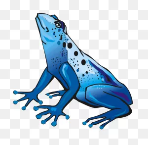 Free Frog Clipart - ClipartFlare