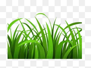 Free Grass Png Transparent, Download Free Grass Png Transparent ClipartFlare.com 