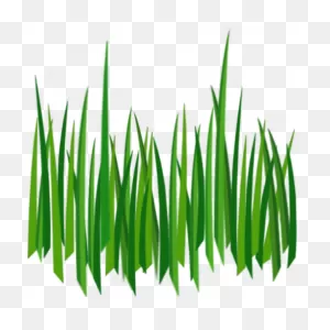 Green Grass Background Clipart - Garden, Grass, Transparent Clip Art