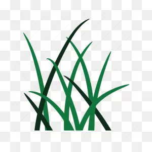 Garden, Grass, Green, Nature, Weed, Weeds, Environment Icon ClipartFlare.com 