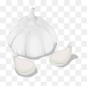 Aile - Garlic Clipart - Full Size Clipart (#1284143) - ClipartFlare